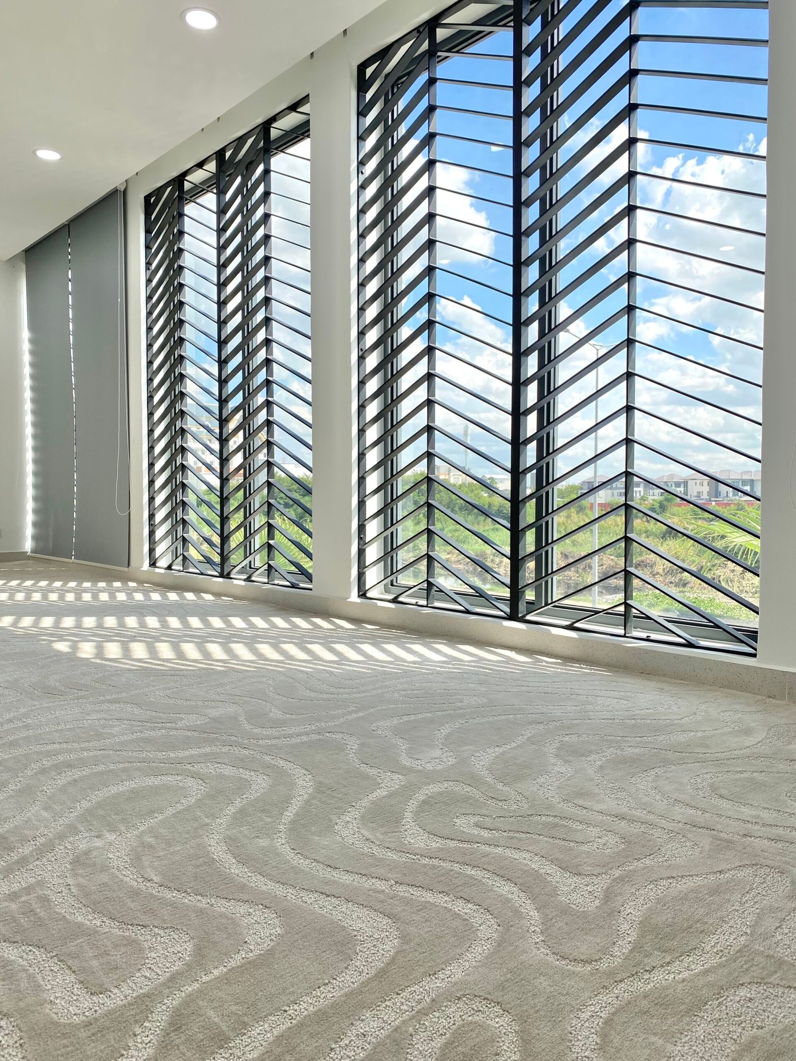 CIA Project Carpet