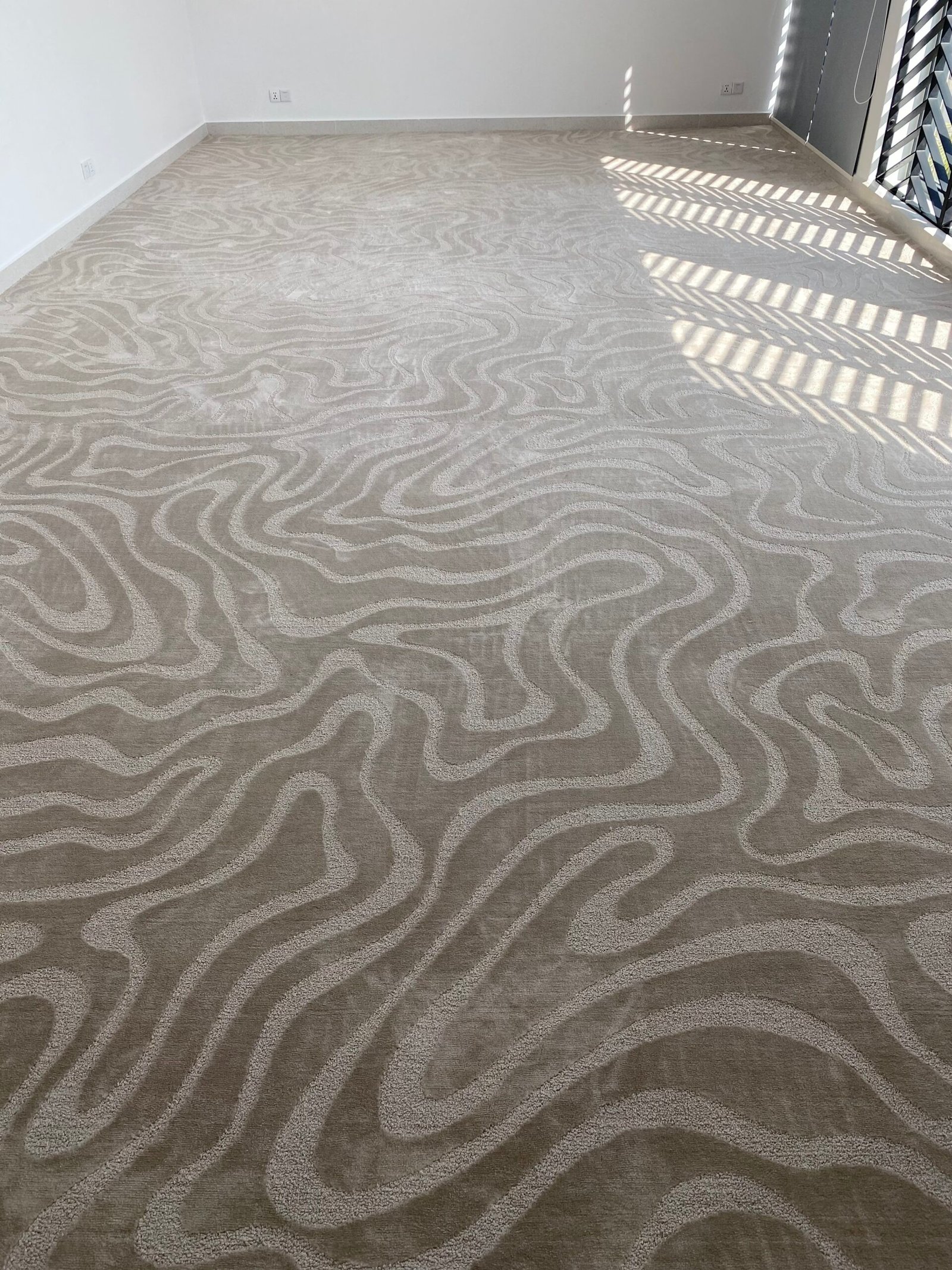 CIA Corridor Carpet