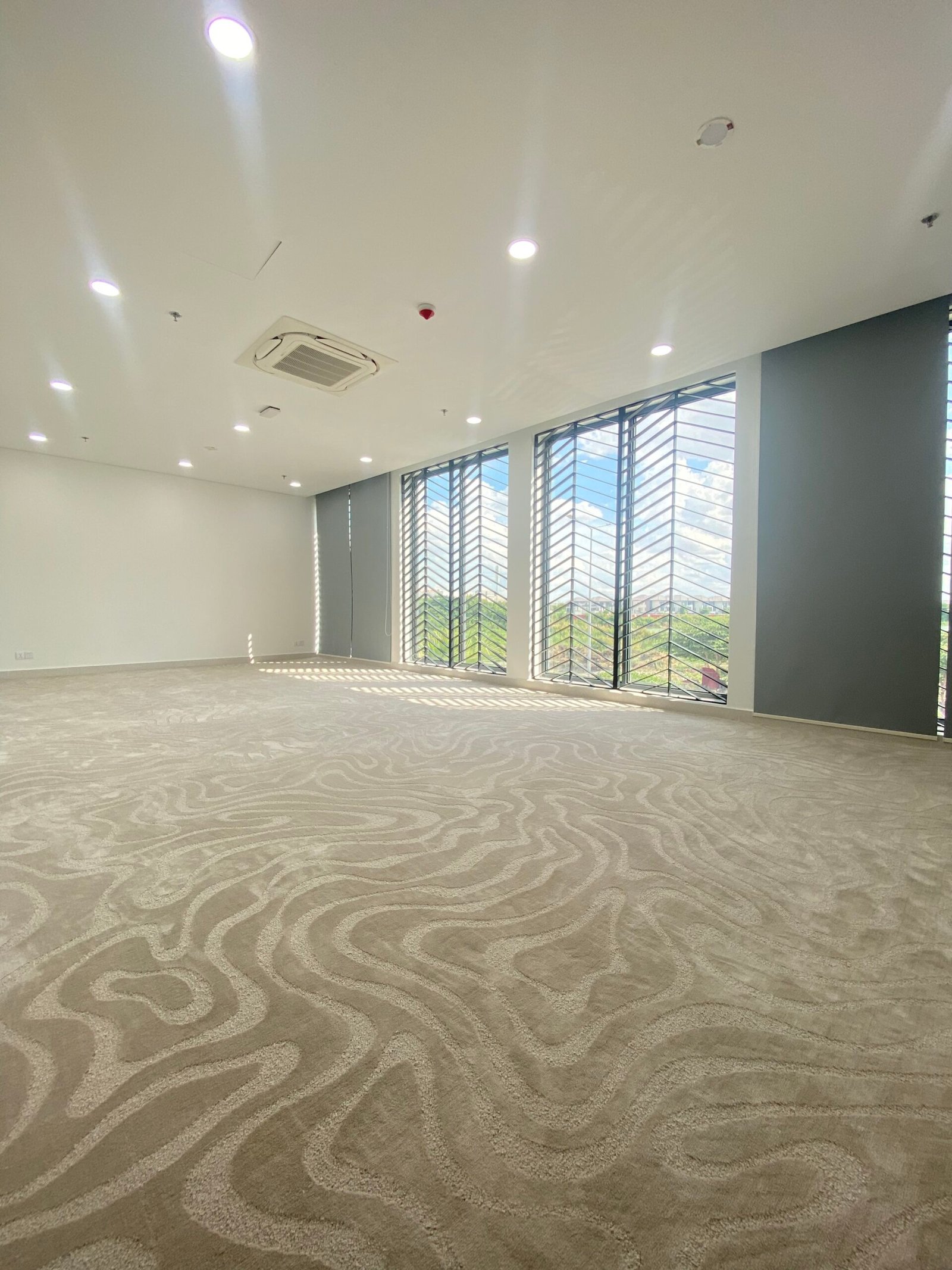 CIA Corridor Carpet